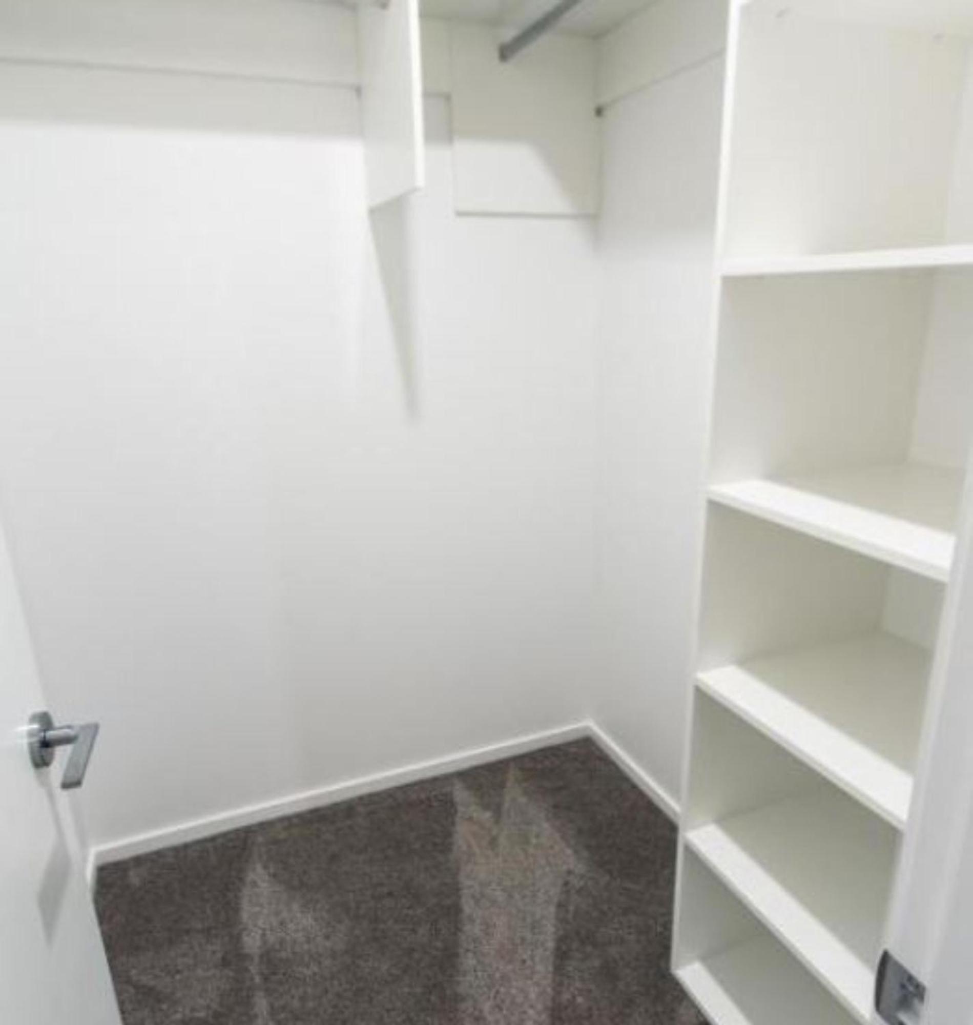 Modern 3 Bed Overlooking Hagley Park Крайстчърч Екстериор снимка